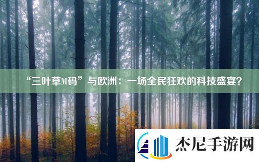 “三叶草M码”与欧洲