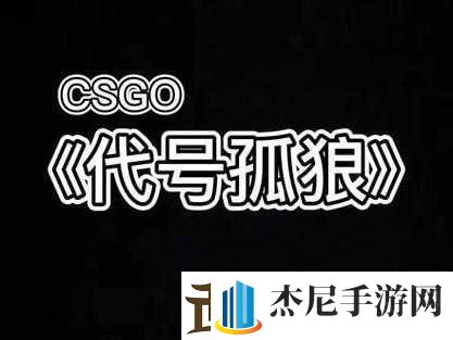 老婆不在家一个人寂寞CSGO