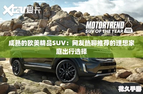 成熟的欧美精品SUV